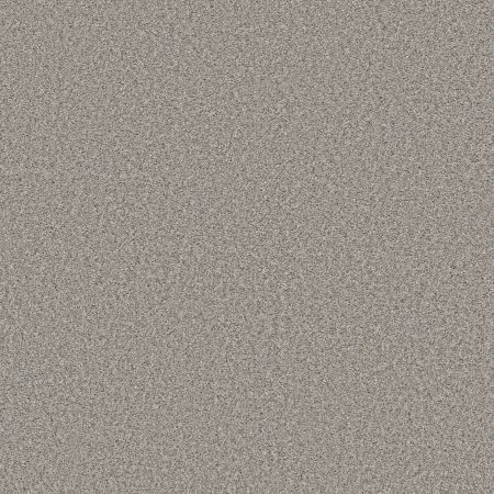 Shaw Floors Simply The Best Qs858 Sterling