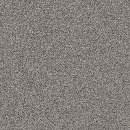 Shaw Floors Simply The Best Qs858 Nantucket