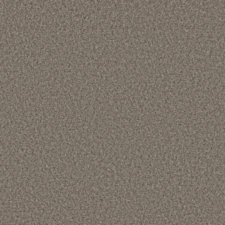 Shaw Floors Simply The Best Qs858 Jamestown