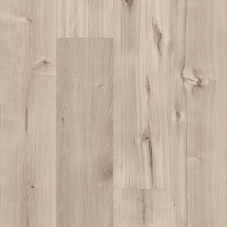 5th And Main Symbiotic 12 Canvas