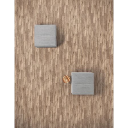 5th And Main Symbiotic 5.0 Malt