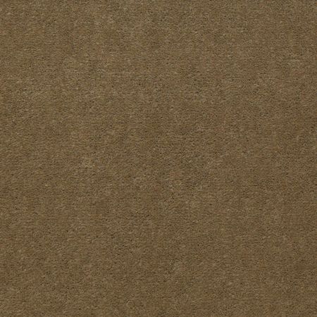 Philadelphia Commercial No Rules Floyd Park 36 Olive Twist