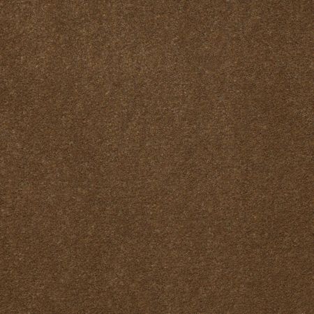 Philadelphia Commercial No Rules Floyd Park 30 Sugar Maple