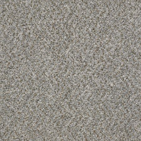 Shaw Floors Shaw On Shelf Marina I Sierra Mist