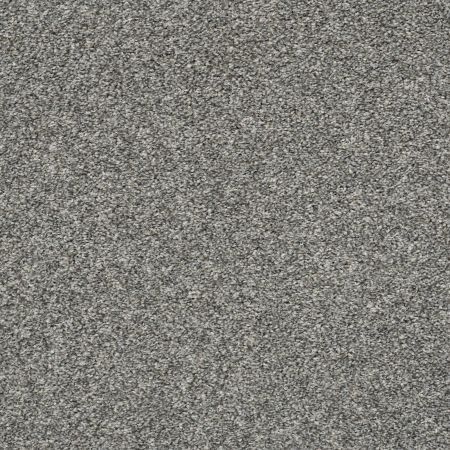 Shaw Floors Rincon Sparrow