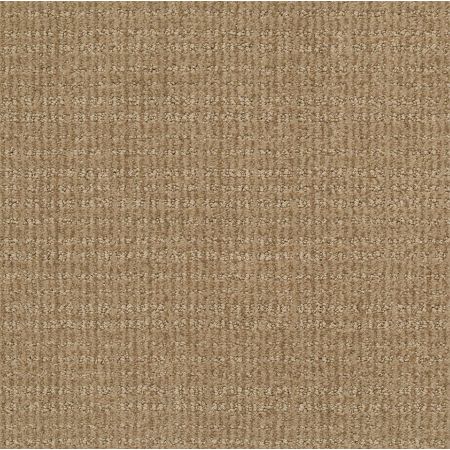 Shaw Floors Shaw On Shelf Sc Beach Gold Rush