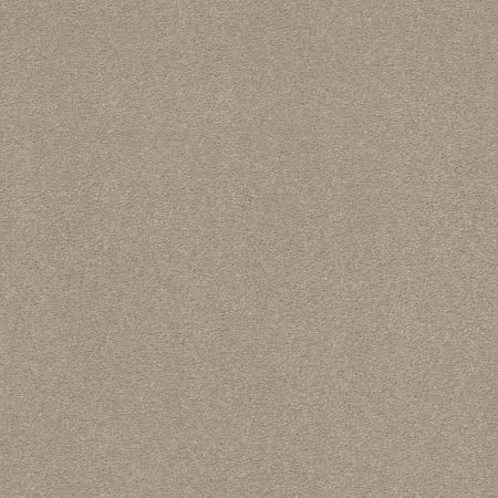 Shaw Floors Shaw On Shelf Bonny Doon Dreamy