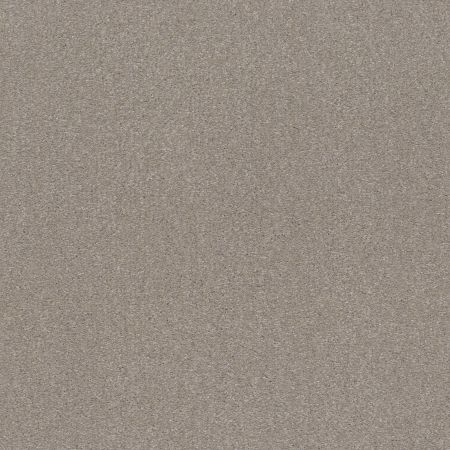 Shaw Floors Shaw On Shelf Bonny Doon Greige