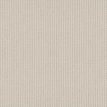 Shaw Floors Shaw On Shelf Capitola Canvas