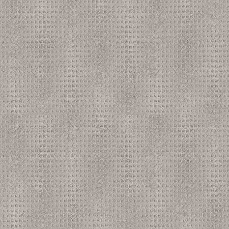 Shaw Floors Shaw On Shelf Capitola Warm Greige