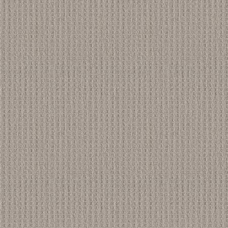 Shaw Floors Shaw On Shelf Capitola Sandstone