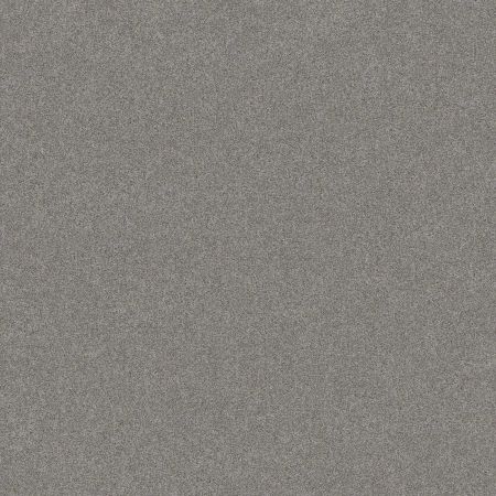 Shaw Floors Shaw On Shelf Seacliff Grey Fox