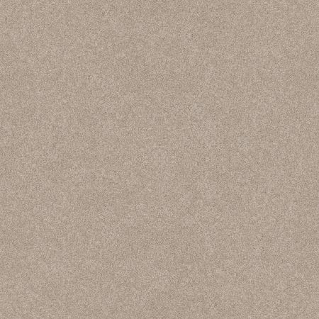 Shaw Floors Shaw On Shelf Seacliff Sandstone