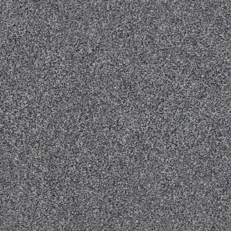 Shaw Floors Shaw On Shelf Seabright Harbor Dock