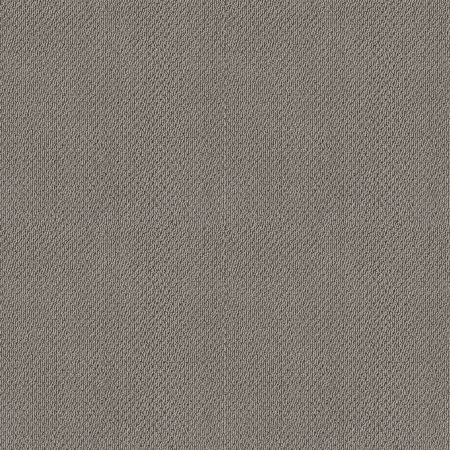 Shaw Floors Shaw On Shelf Gearhart Beach Slate