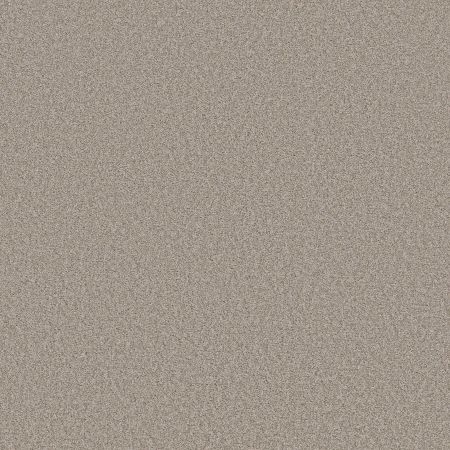 Shaw Floors Seacliff I Fossil Path