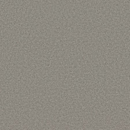 Shaw Floors Seacliff I Grey Fox