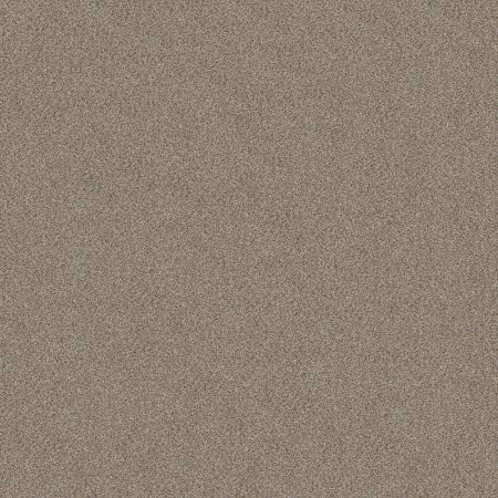 Shaw Floors Muscle Shoals Timeless Tan