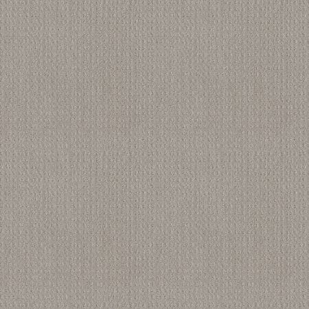 Shaw Floors El Capitan I Silver Lining