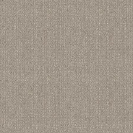 Shaw Floors El Capitan I Newstone Haven