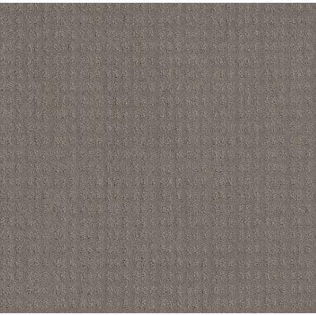 Shaw Floors El Capitan I River Run