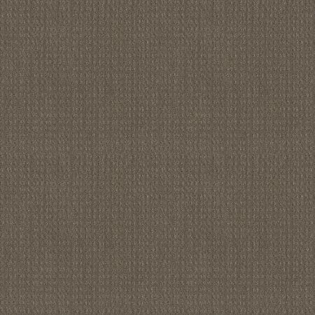 Shaw Floors El Capitan I Ridgeview