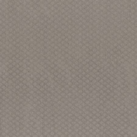 Shaw Floors El Capitan II River Run