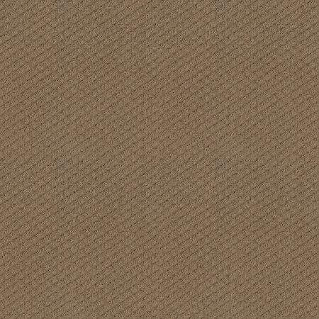 Shaw Floors El Capitan II Raw Wood