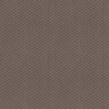 Shaw Floors El Capitan II Ridgeview