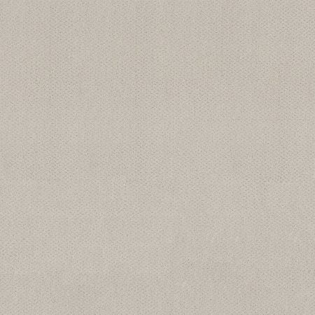 Shaw Floors El Capitan III Winters Dawn