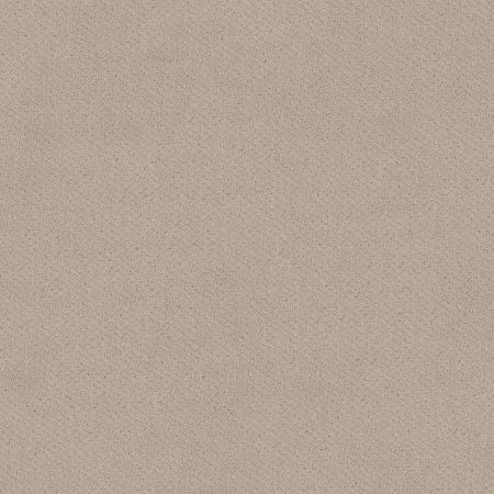 Shaw Floors El Capitan III Butter Cream