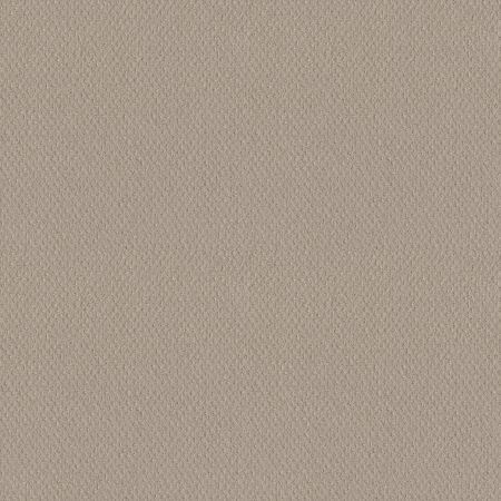 Shaw Floors El Capitan III Newstone Haven