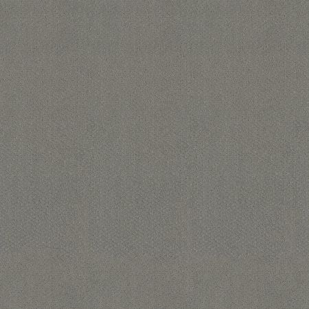 Shaw Floors El Capitan III Grey Fox