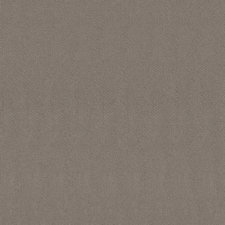 Shaw Floors El Capitan III River Run