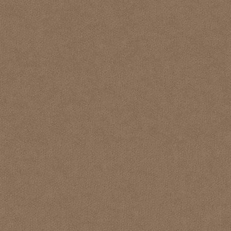 Shaw Floors El Capitan III Raw Wood