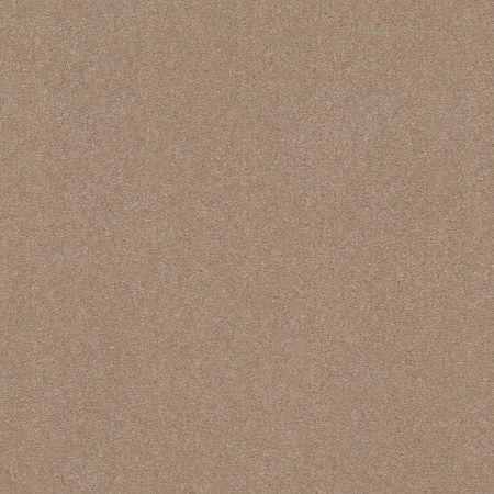 Shaw Floors Point Sur II 12 Raw Lumber