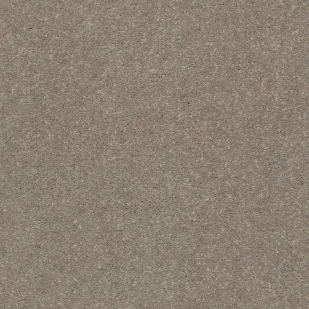 Shaw Floors Point Sur II 12 Natural Contour