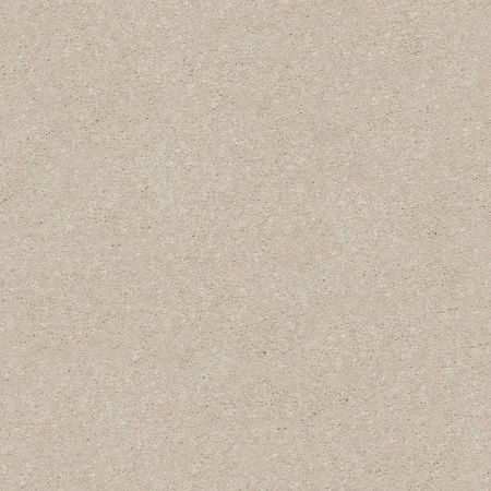 Shaw Floors Point Sur III 12 Bleached