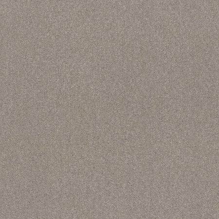 Shaw Floors Point Sur III 12 Greige