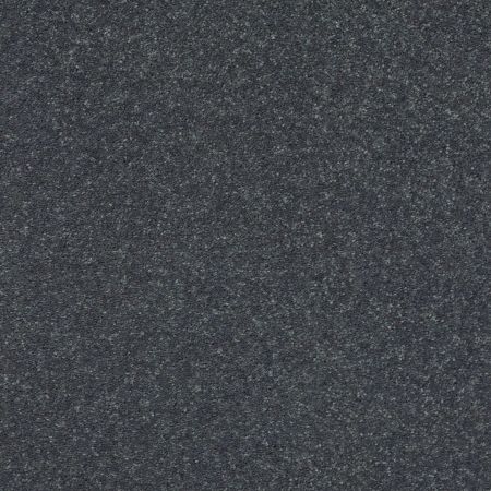 Shaw Floors Point Sur III 12 Iron