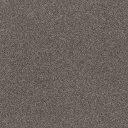 Shaw Floors Point Sur III 12 Pewter