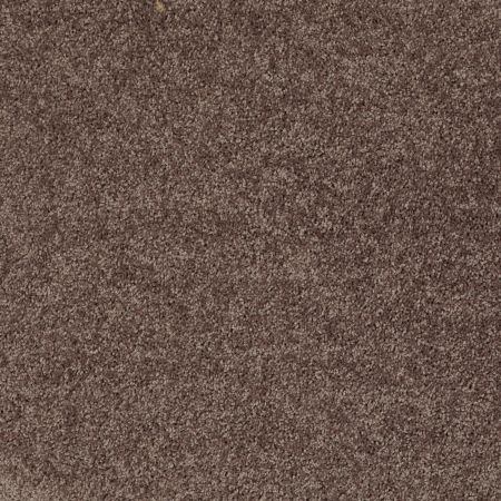 Shaw Floors Shaw On Shelf North Shore II Molasses