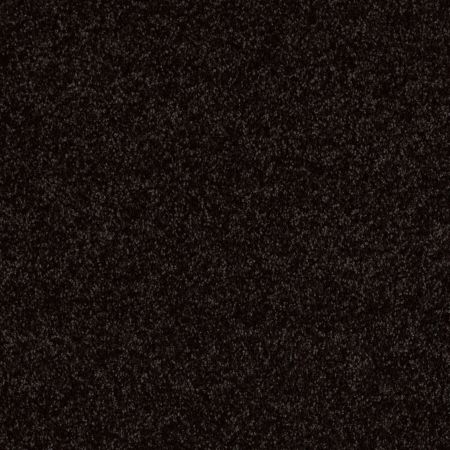 Shaw Floors Shaw On Shelf North Shore III Armour