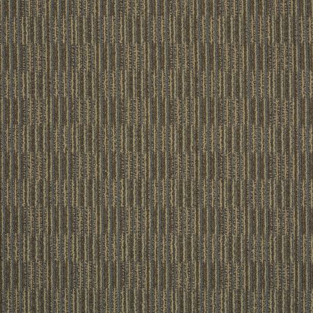 Philadelphia Commercial Tandem Uni Beach Camaraderie