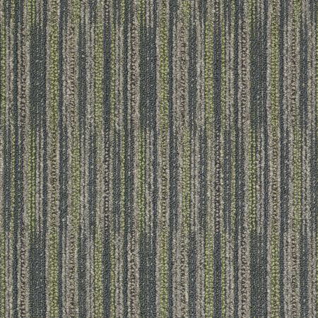 Philadelphia Commercial Shaw On Shelf Maya Beach Specimen