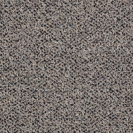 Philadelphia Commercial Special Project Commercial Sp296 Wild Horses