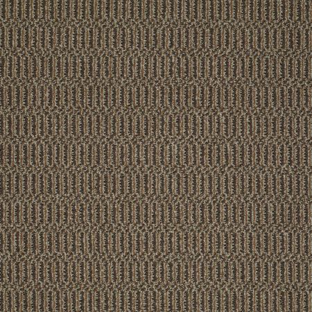 Philadelphia Commercial Roll Special Sp576 That's The Idea