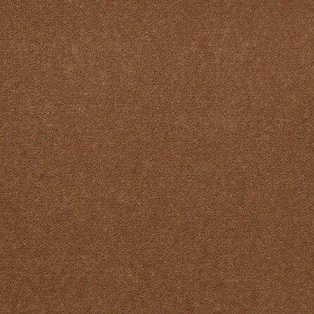 Philadelphia Commercial Special Project Commercial Sp659 Camelback