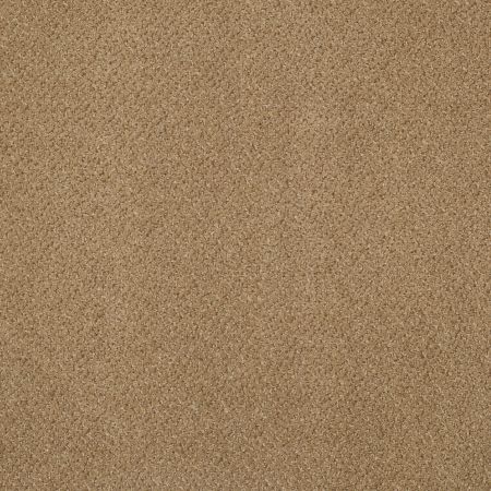 Philadelphia Commercial Special Project Commercial Sp674 Dominant