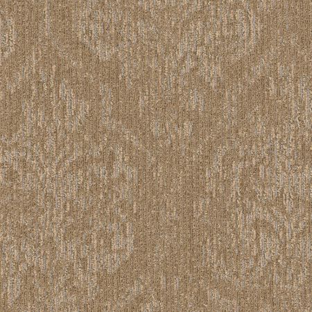 Philadelphia Commercial Special Project Commercial Sp731 Chester